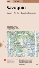 Swisstopo | 1236 Savognin - SAC-Shop