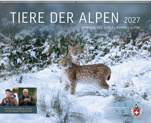 Kalender 2027 Tiere der Alpen, Hanspeter Latour, Levio Sturzenegger, SAC-Shop