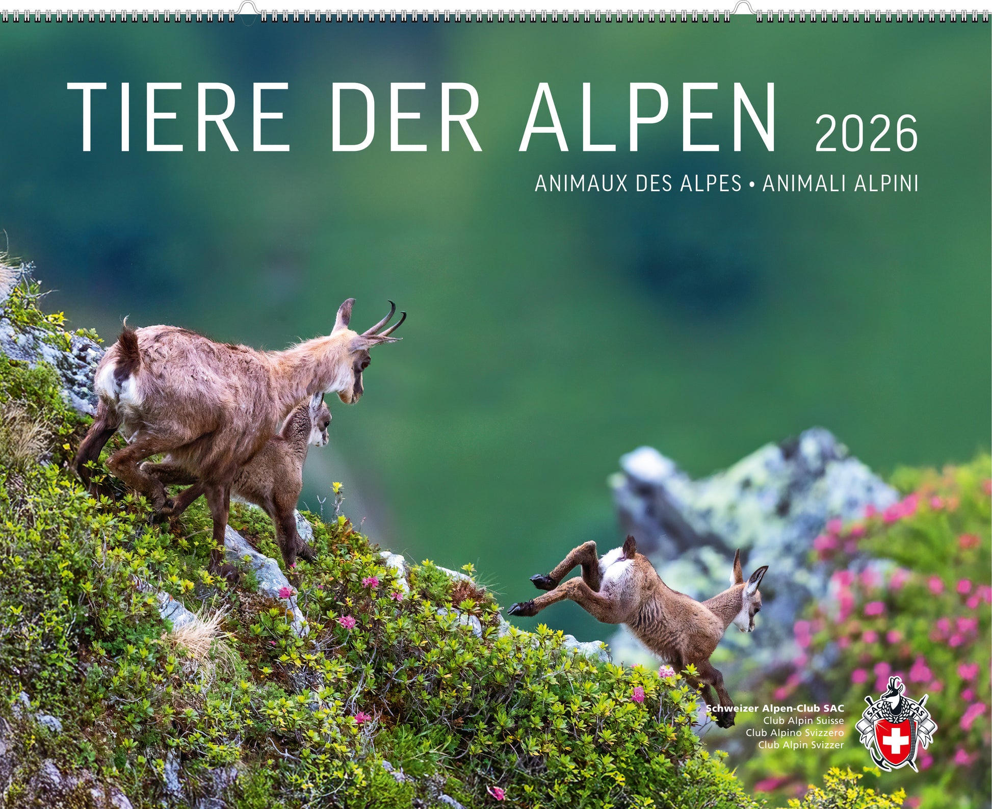 Adrian Schmid | Tiere der Alpen – Kalender 2026 - SAC-Shop