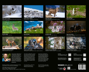 Adrian Schmid | Tiere der Alpen – Kalender 2026